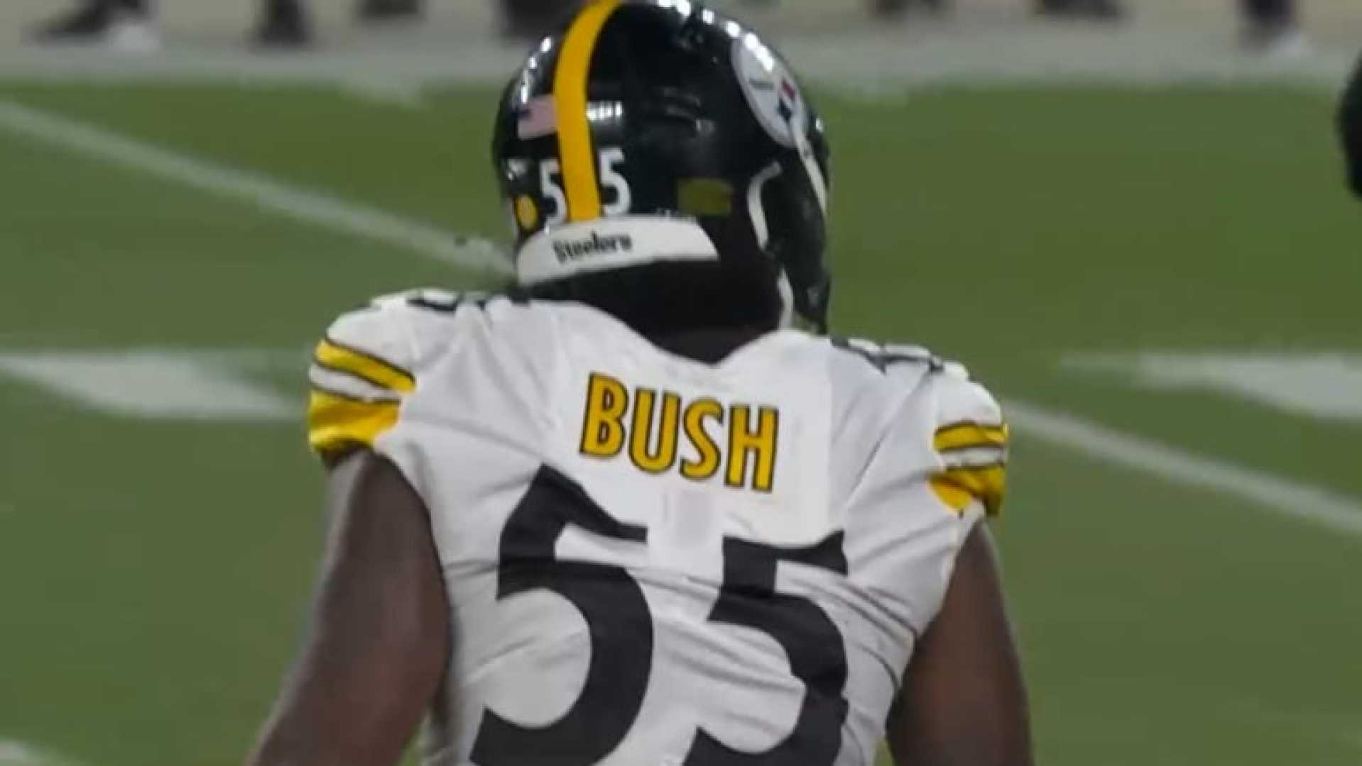 Devin Bush Nfl Linebacker Arrest News