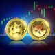 Dogecoin And Shiba Inu Price Surge
