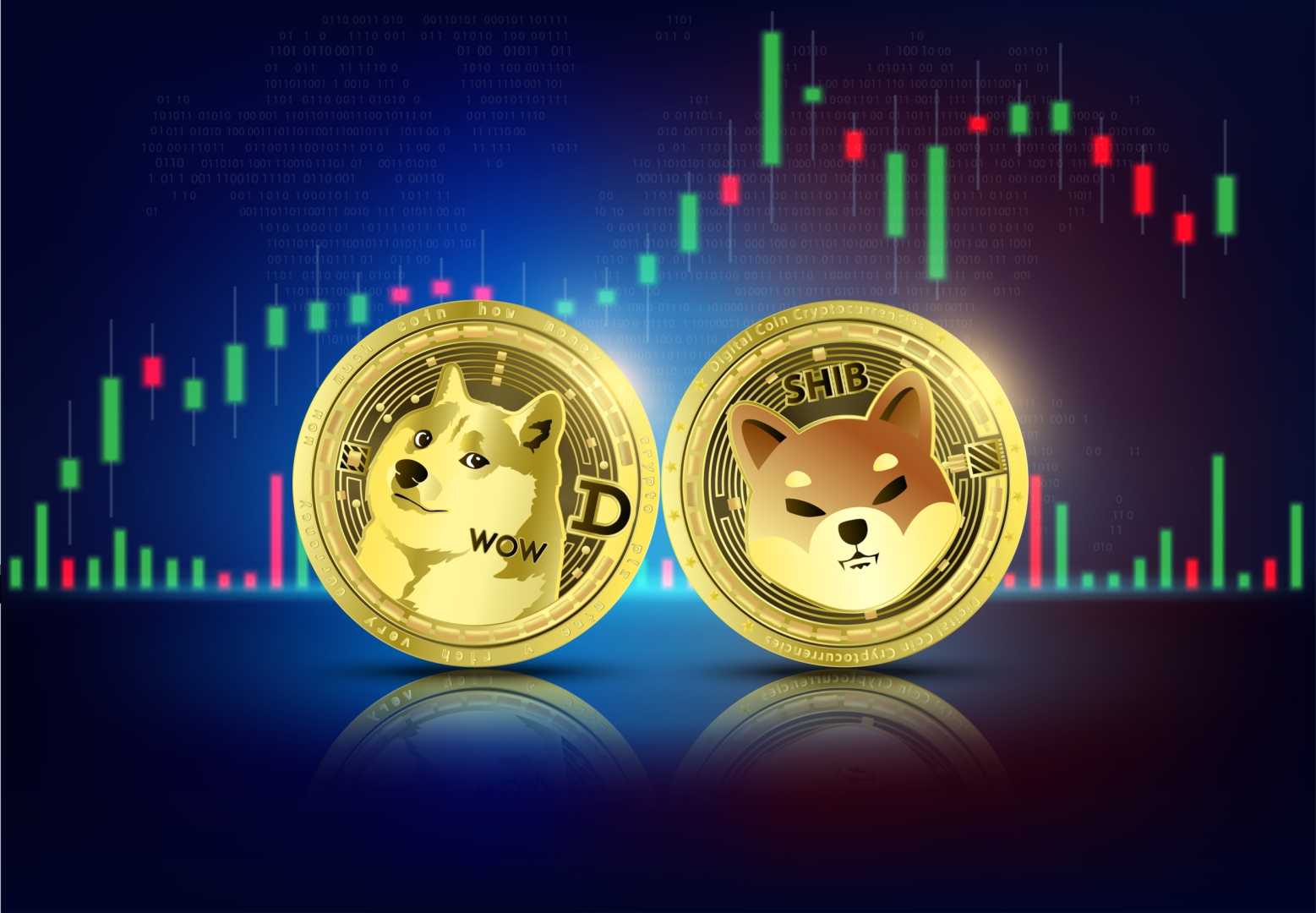 Dogecoin And Shiba Inu Price Surge