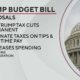 Donald Trump Capitol Hill Budget Bill