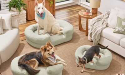 Drew Barrymore Walmart Pet Products