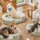 Drew Barrymore Walmart Pet Products