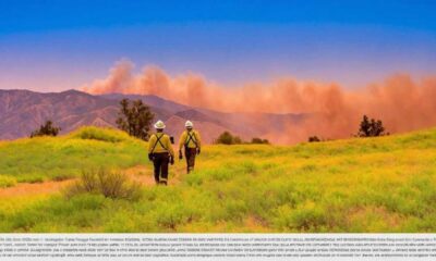 Edison International Wildfire Mitigation Plan