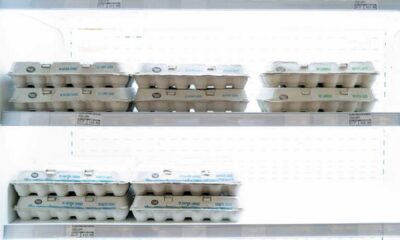Egg Prices Decline News