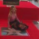 Ellen Pompeo Hollywood Walk Of Fame Star
