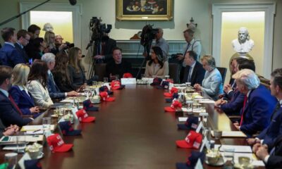 Elon Musk Doge Government Meeting