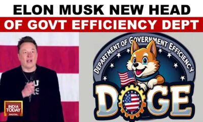 Elon Musk Trump Doge Government Efficiency