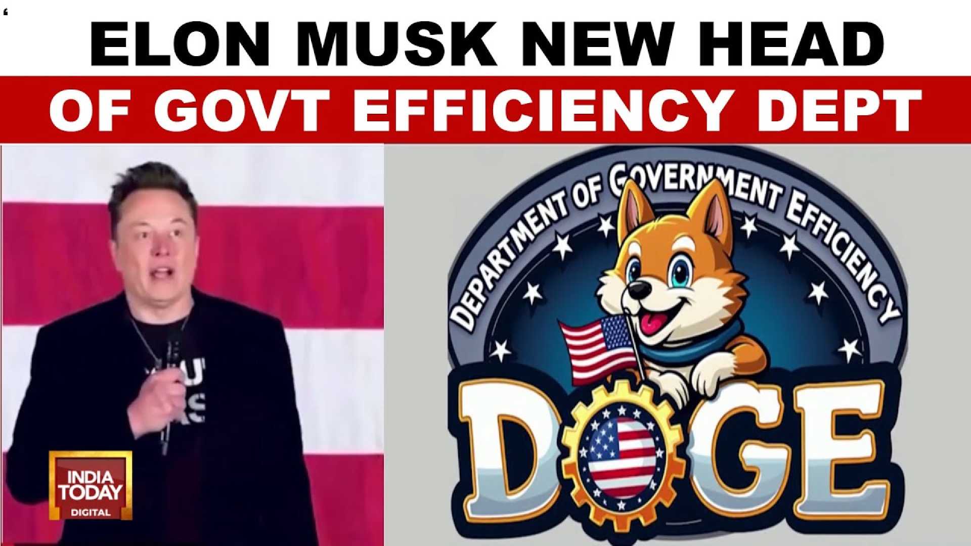 Elon Musk Trump Doge Government Efficiency