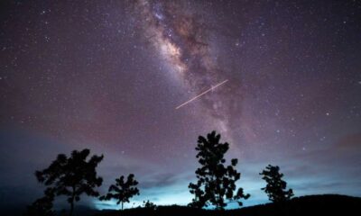 Eta Aquariid Meteor Shower Night Sky