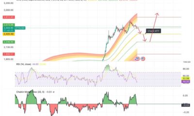 Ethereum Investment Rise