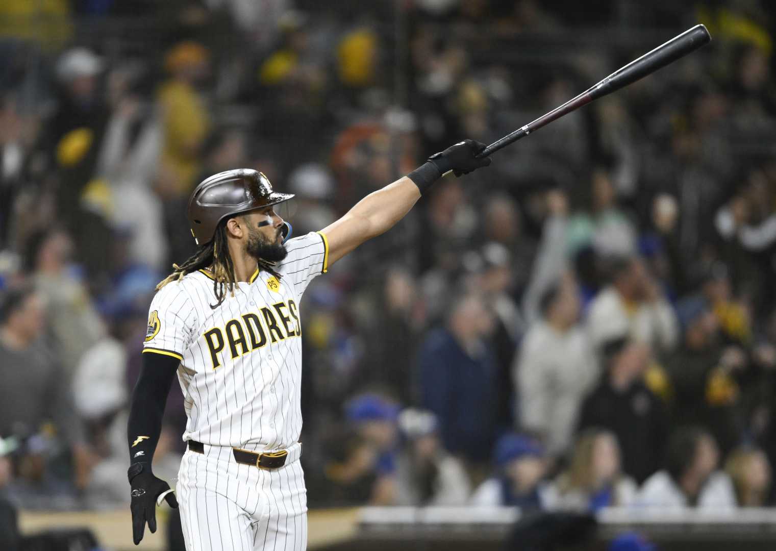 Fernando Tatis Jr. San Diego Padres Game