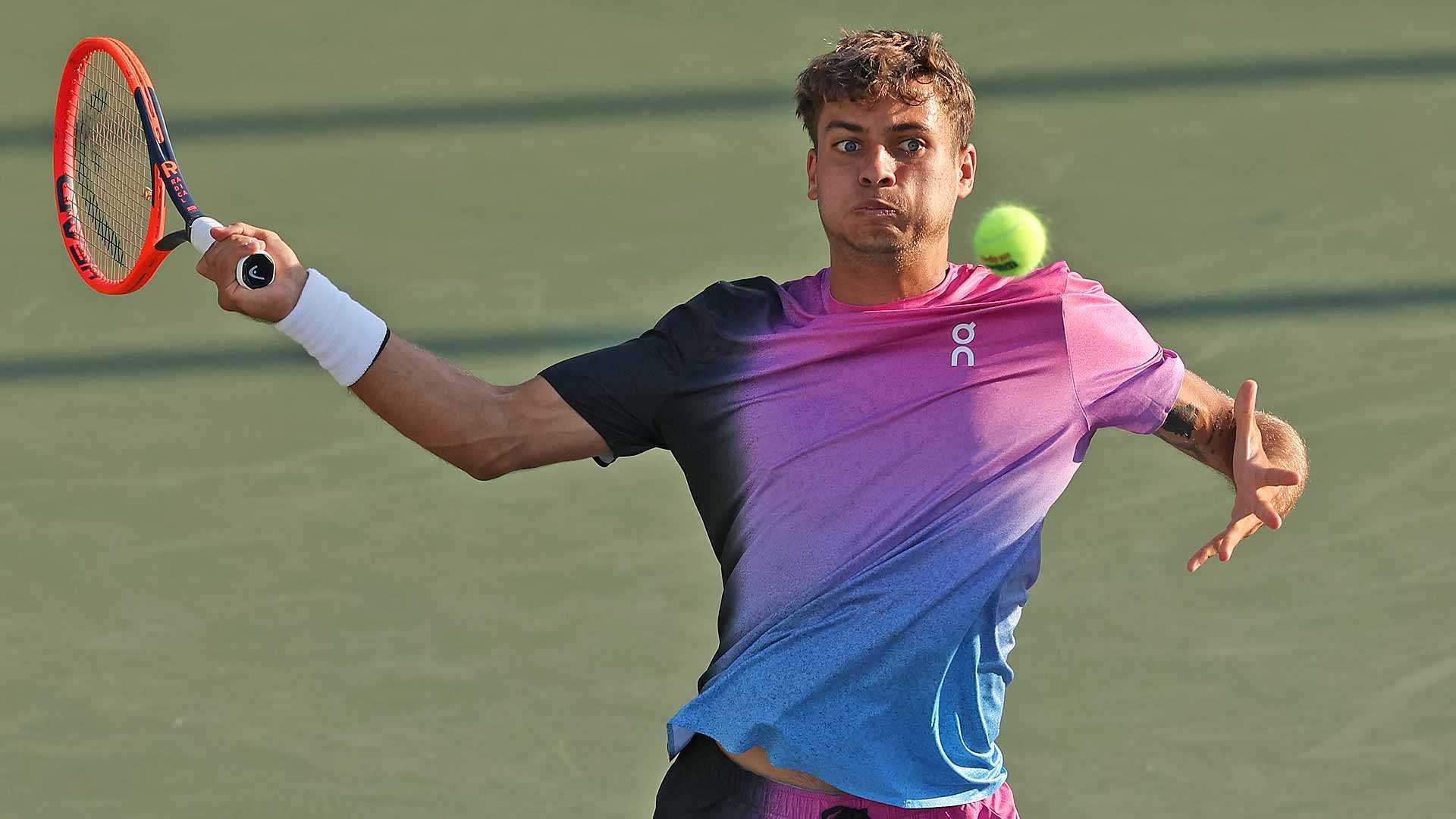Flavio Cobolli Tennis Player