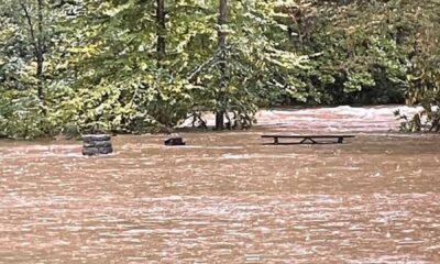 Flood Watch Blue Ridge Parkway