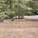 Flood Watch Blue Ridge Parkway