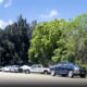 Florida Bear Attack News