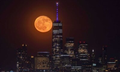 Flower Moon New York City Skyline