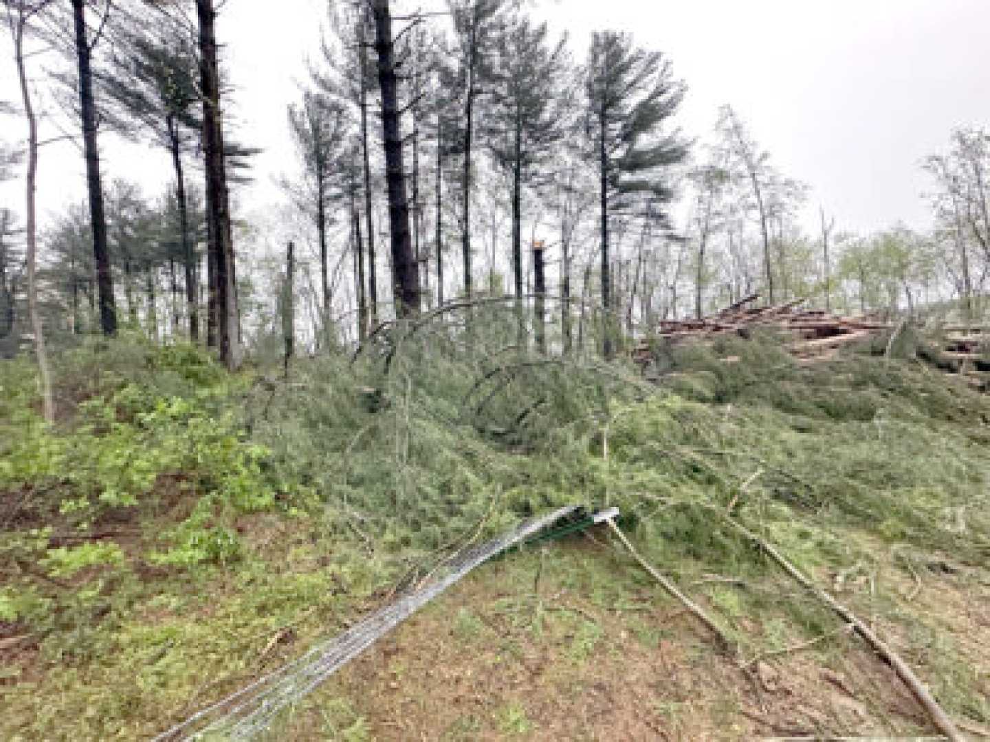 Follansbee Storm Aftermath Power Outage