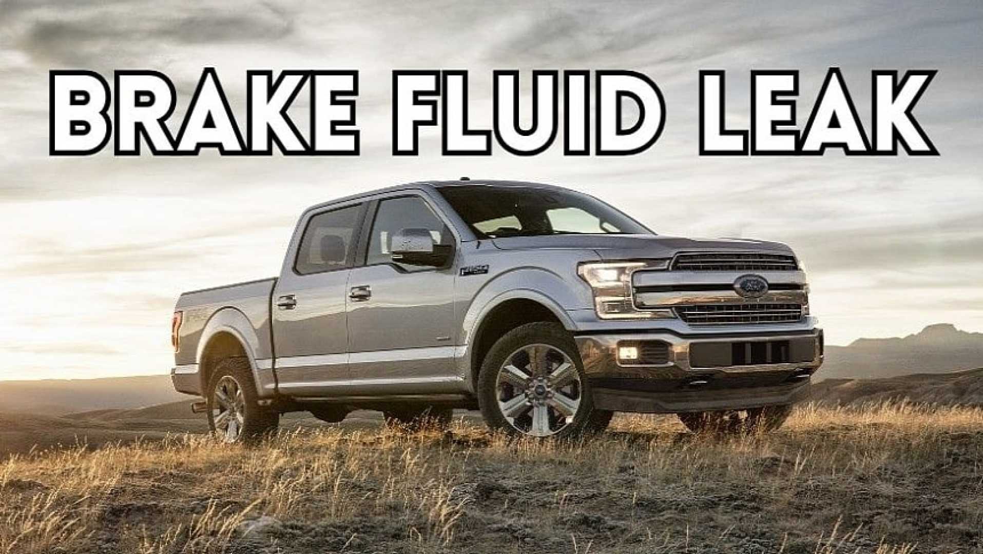 Ford Vehicles Recall Brake Fluid Issue