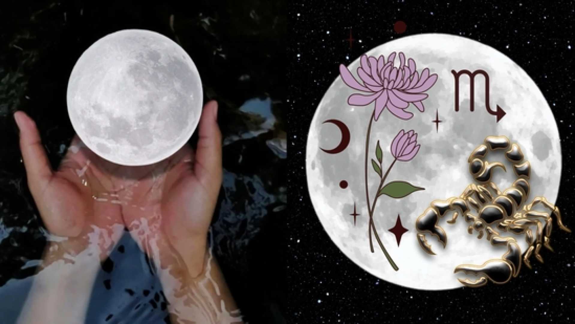 Full Flower Moon Scorpio Astrology