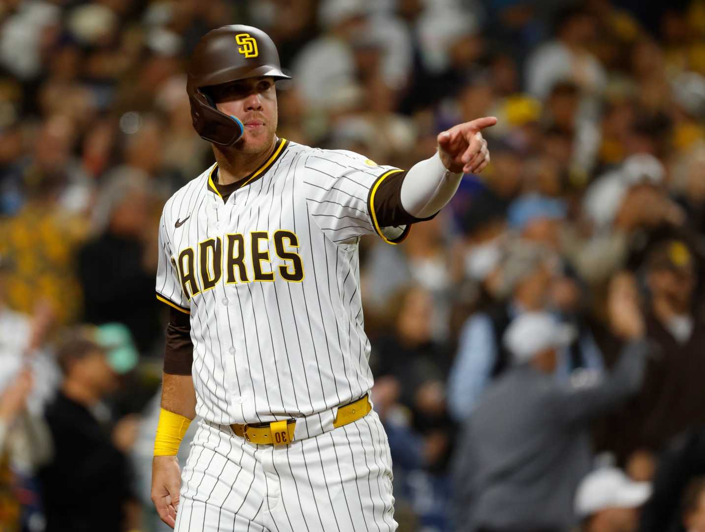 Gavin Sheets San Diego Padres Baseball