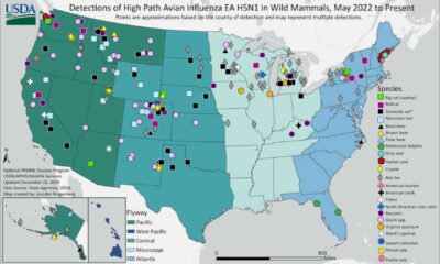 H5n1 Bird Flu Virus Outbreak In Us