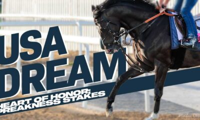 Heart Of Honor Racehorse Preakness Stakes