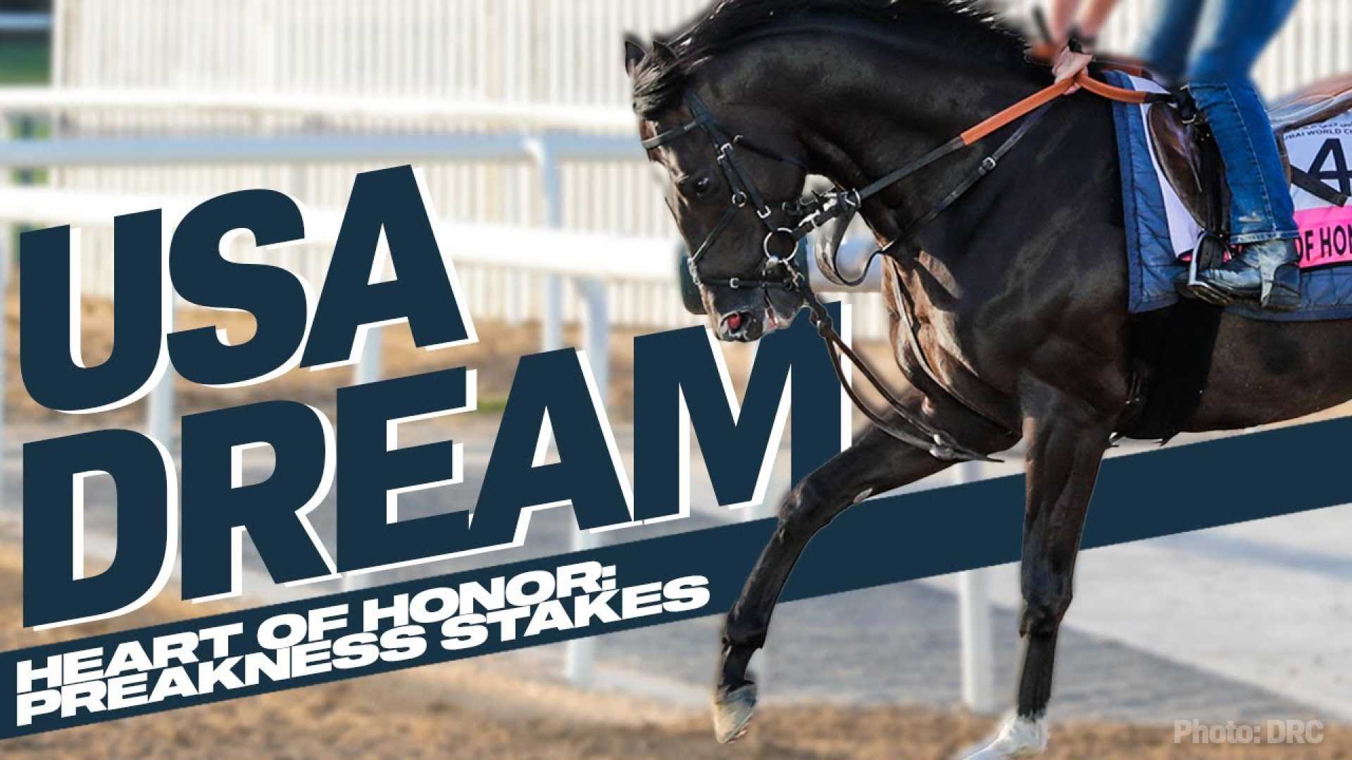 Heart Of Honor Racehorse Preakness Stakes