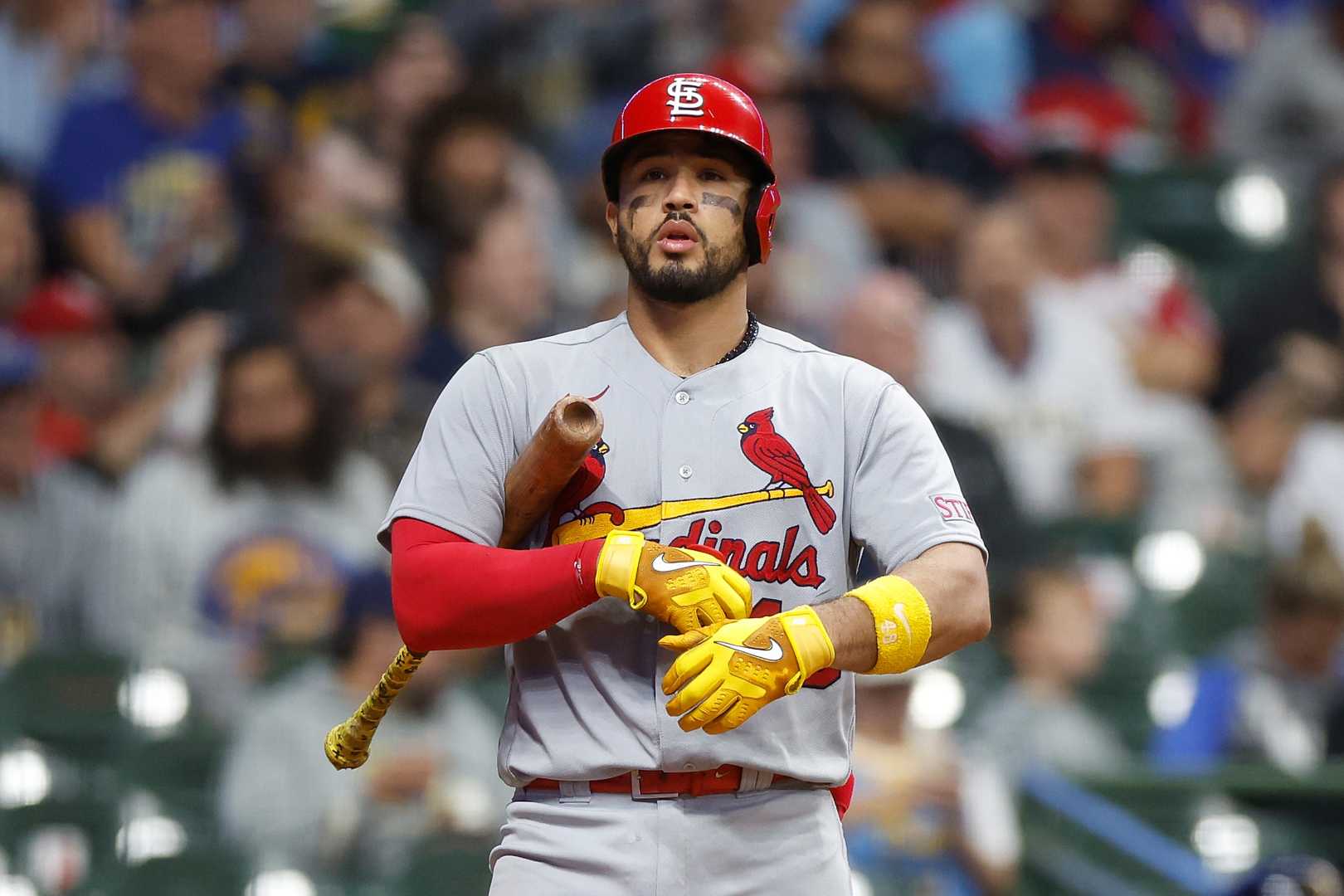 Ivan Herrera St. Louis Cardinals