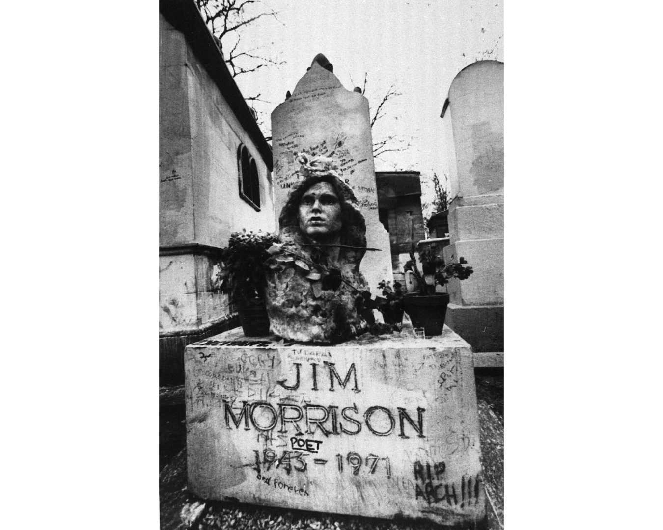 Jim Morrison Bust Recovery News