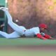 Johan Rojas Philadelphia Phillies Baseball Action