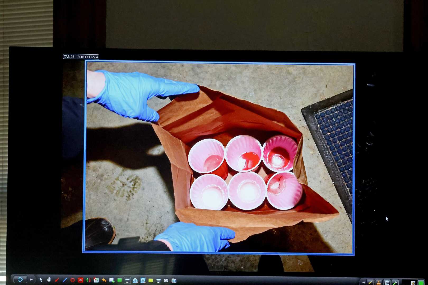 Karen Read Murder Trial Evidence