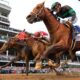 Kentucky Derby 2025 Sovereignty Winner
