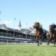 Kentucky Derby Churchill Downs Race Horses