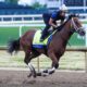 Kentucky Derby Horse Racing 2025