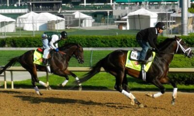 Kentucky Derby Horse Racing Preparation