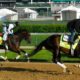 Kentucky Derby Horse Racing Preparation