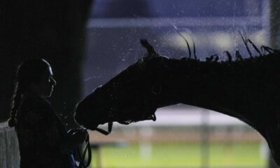 Kentucky Derby Horses And Spectators Rain