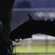 Kentucky Derby Horses And Spectators Rain