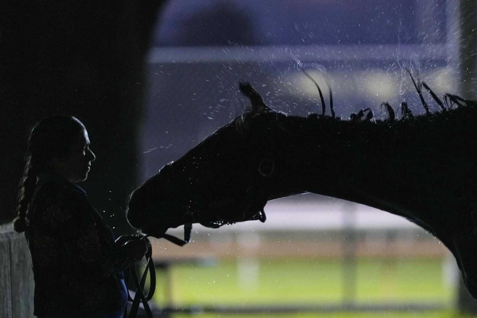 Kentucky Derby Horses And Spectators Rain