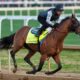 Kentucky Derby Horses Racing At Churchill Downs