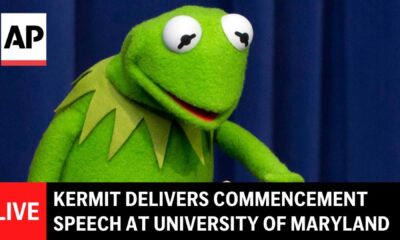 Kermit The Frog University Of Maryland Graduation
