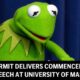 Kermit The Frog University Of Maryland Graduation