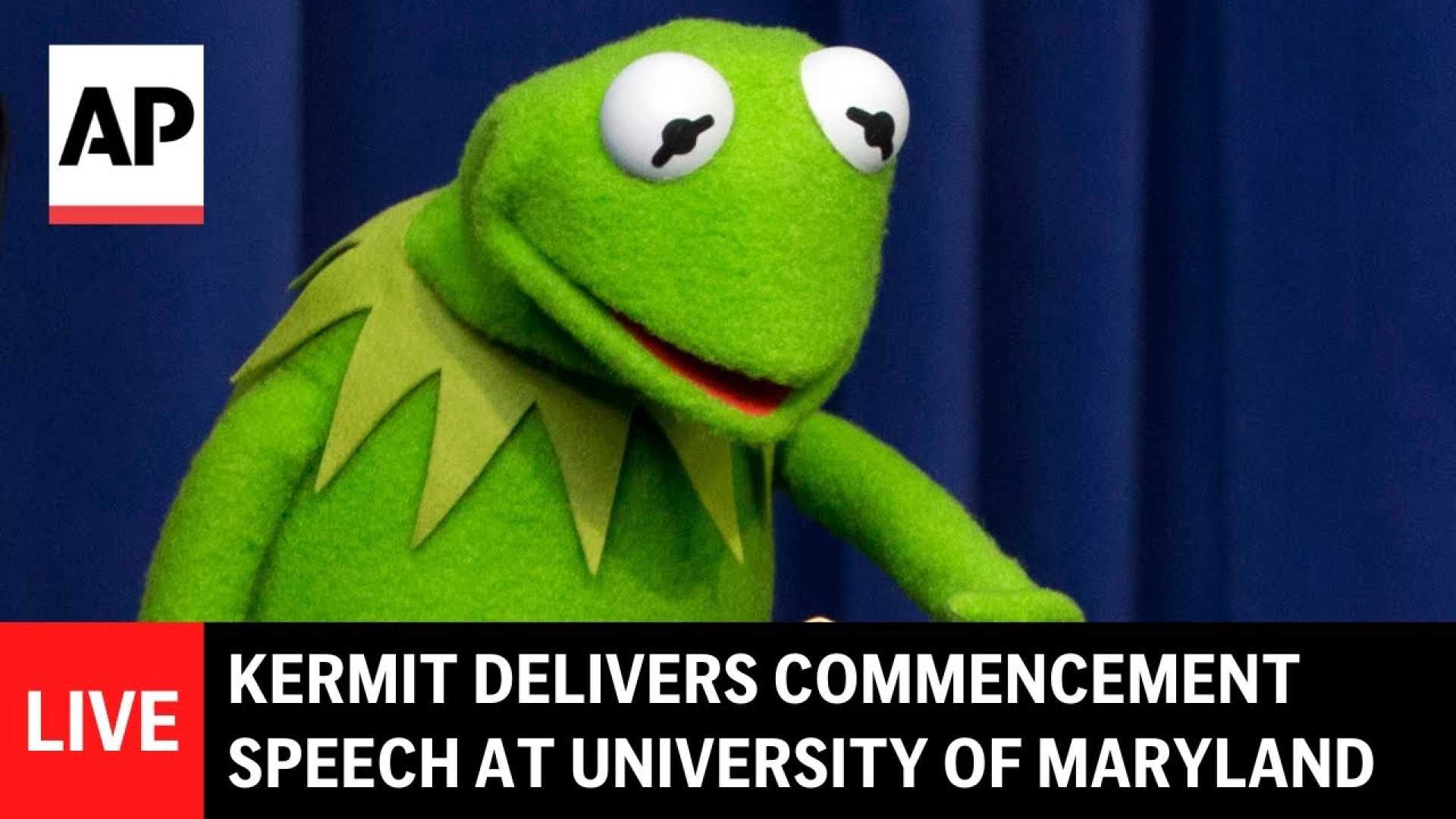 Kermit The Frog University Of Maryland Graduation