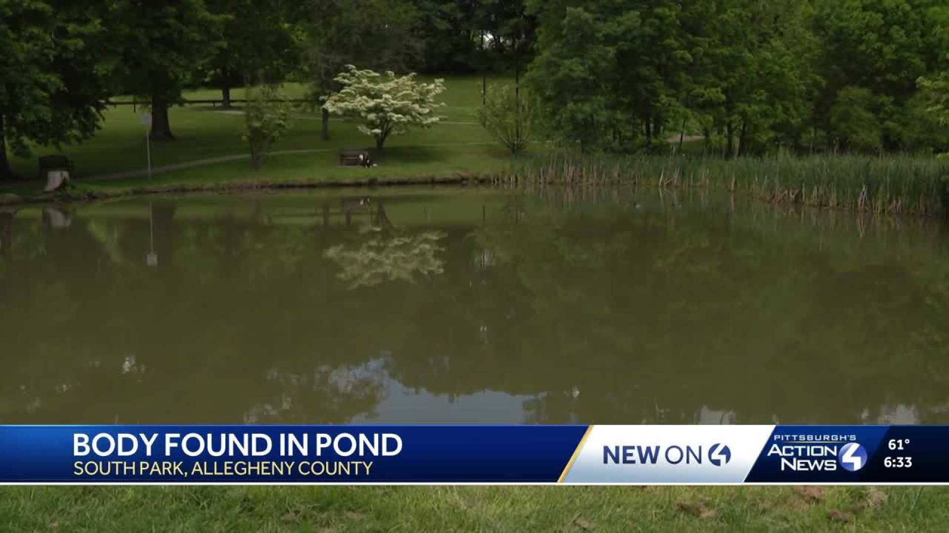 Kevin Ryan Stewart South Park Pond
