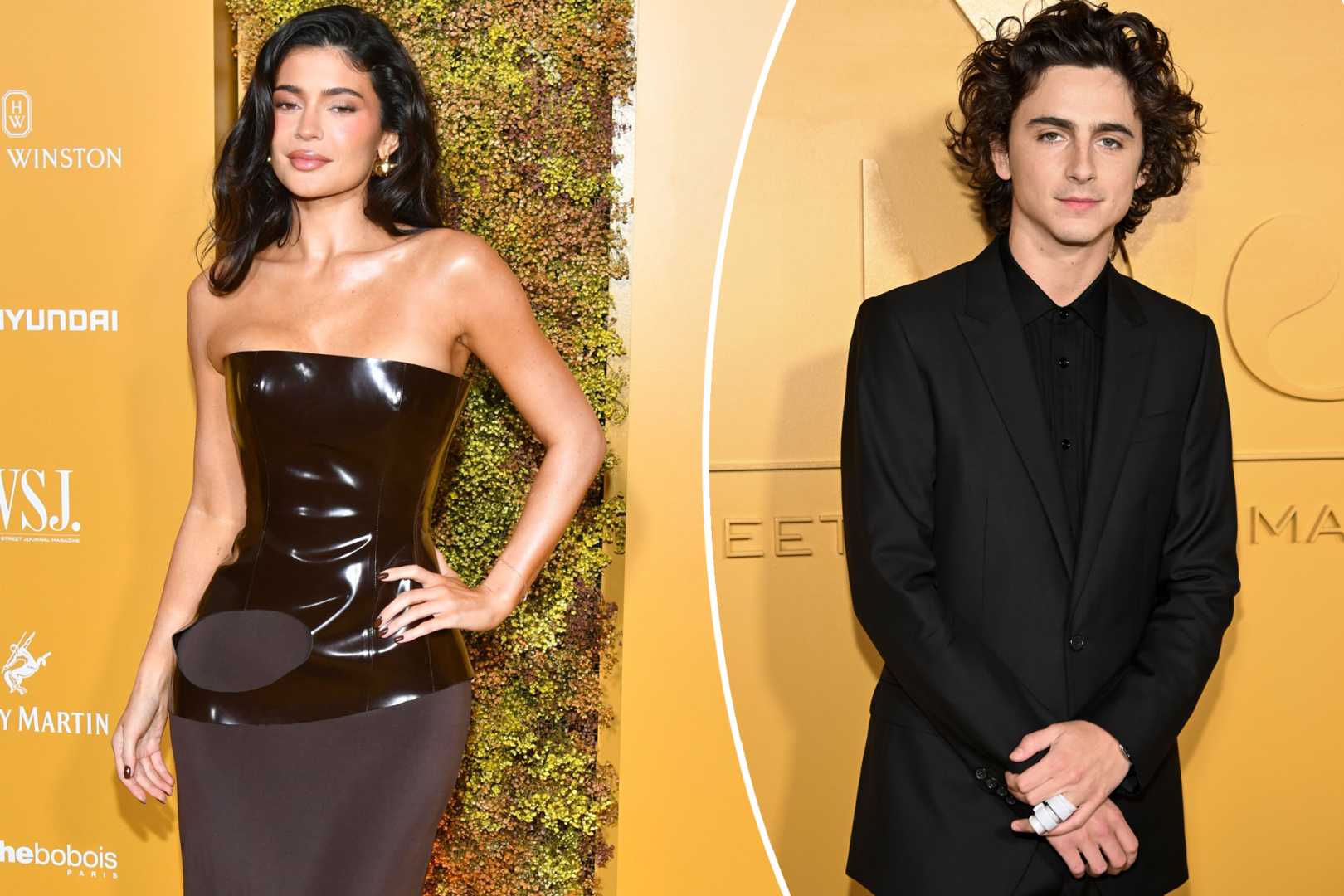 Kylie Jenner Timothée Chalamet Red Carpet