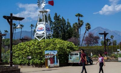 La County Fair 2025 Food And Attractions