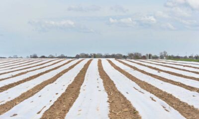 Lancaster County Drought Relief Rain