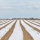 Lancaster County Drought Relief Rain
