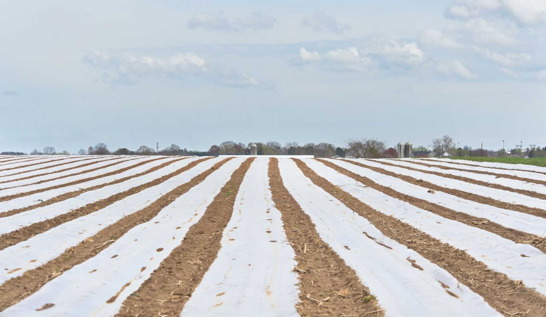 Lancaster County Drought Relief Rain