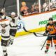 Lehigh Valley Phantoms Hershey Bears Hockey Game